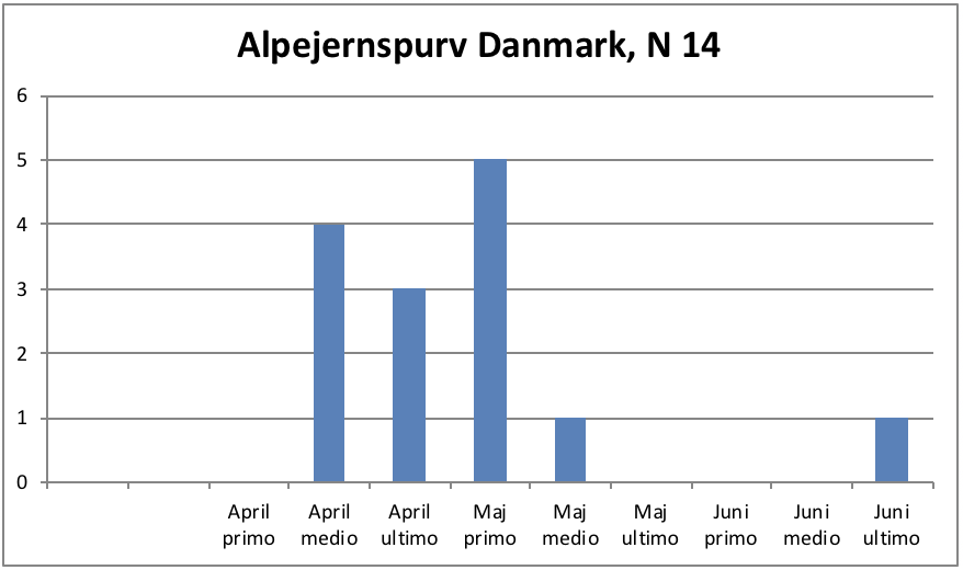 Alpejernspurv DK