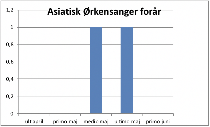 Asiatisk Ørkensanger forår